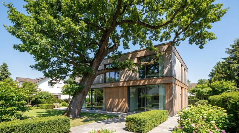 Großer Baum nah am Haus mit Ästen über dem Dach